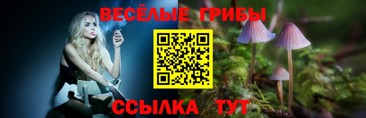 Партизанск  Галлюциногенные грибы MAGIC MUSHROOMS  Вход с VPN  Псилоцибиновые грибы мухоморы 